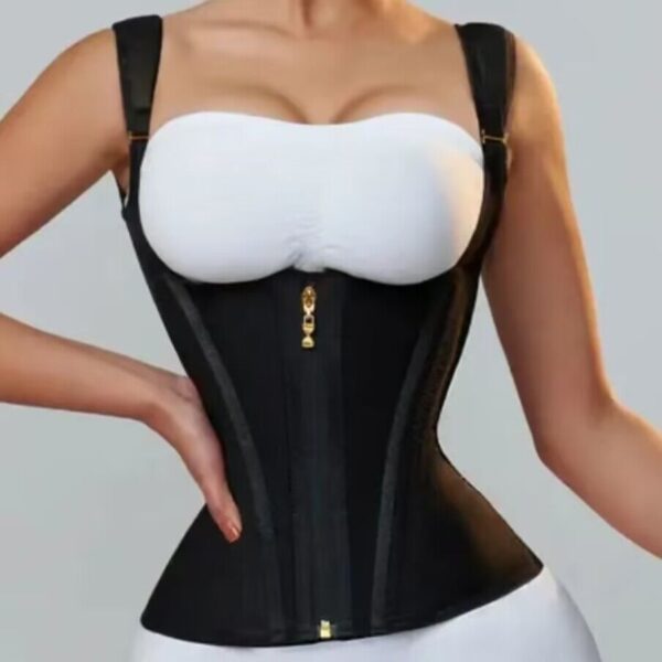 High Elastic Mesh Waist Seal Court Belly Contracting And Slimming Waistband Zipper Breasted Vintage Corset - Image 3