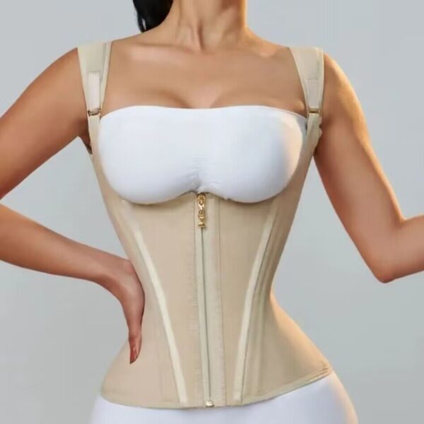 High Elastic Mesh Waist Seal Court Belly Contracting And Slimming Waistband Zipper Breasted Vintage Corset - Image 6